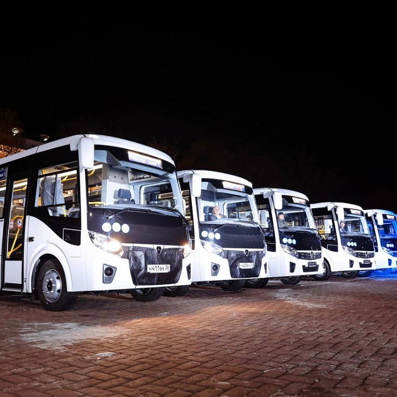 Пять регионов получили почти 100 новых автобусов за счет специальных казначейских кредитов